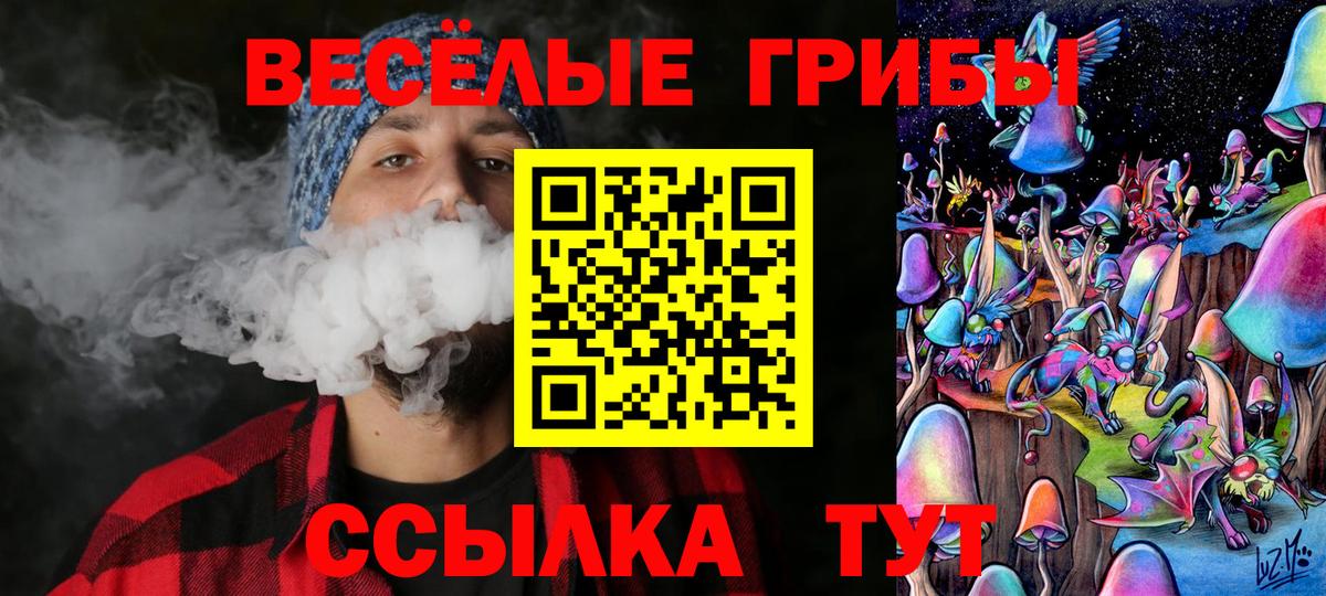 наркота  Вход с VPN  Псилоцибиновые грибы ЛСД  Знаменск  Псилоцибиновые грибы Magic Shrooms 